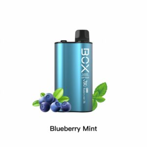 Air Bar Box 5000 Mesh Blueberry Mint