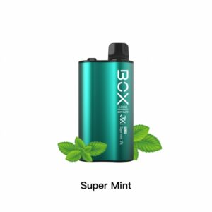 Air Bar Box 5000 Mesh Super Mint